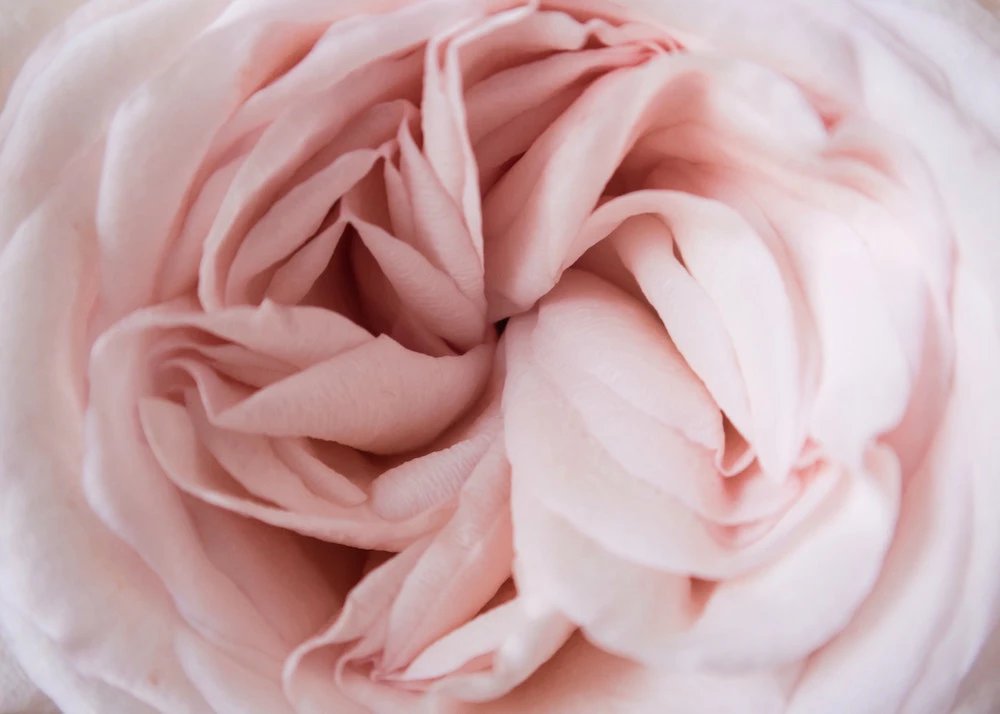 What is feminine embodiment, really?